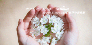 白い花をあなたへ