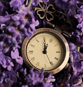 lavender-time