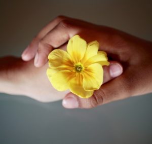 黄色の花と手